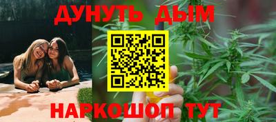 сатива Гусь-Хрустальный