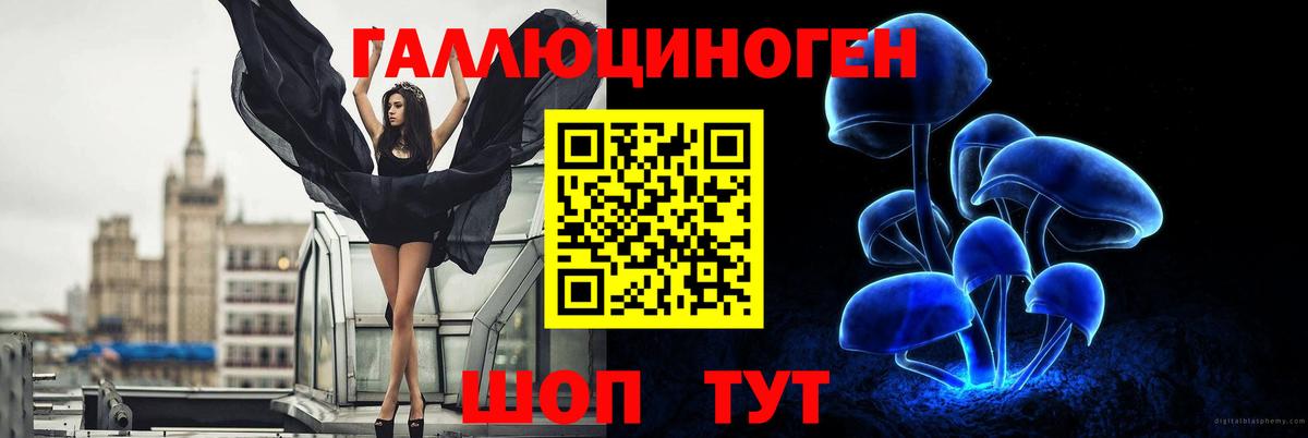 Галлюциногенные грибы Psilocybe  Псилоцибиновые грибы прущие грибы  Нурлат  Вход с VPN 