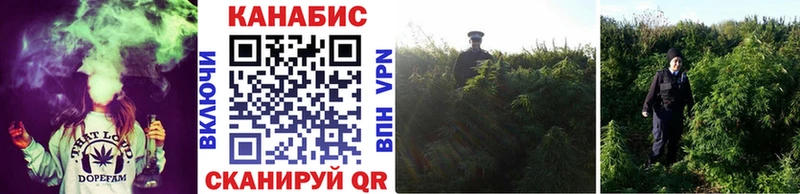 сколько стоит  Нурлат  hydra зеркало  Марихуана гибрид 